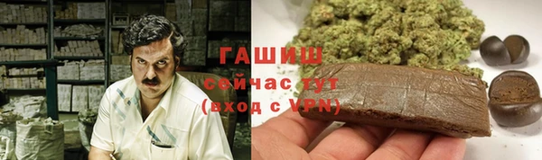 стаф Аркадак