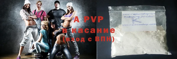 стаф Аркадак