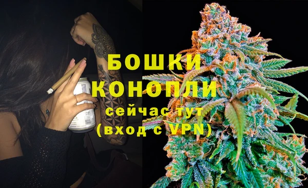 стаф Аркадак