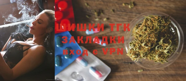 стаф Аркадак